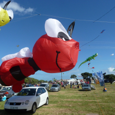 cape-town-international-kite-festival